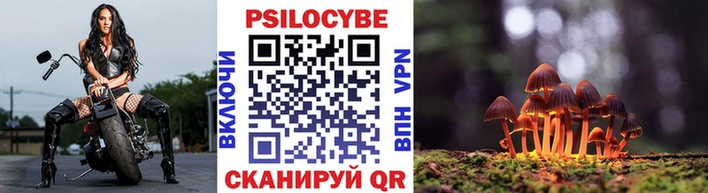 это официальный сайт  Озёрск  MEGA   Галлюциногенные грибы MAGIC MUSHROOMS  купить  цена 